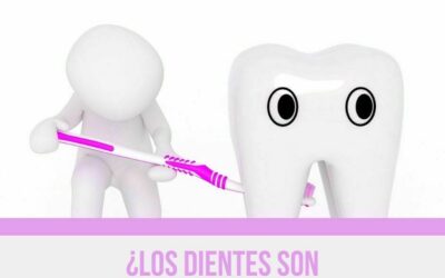 ¿Los dientes son naturalmente blancos?