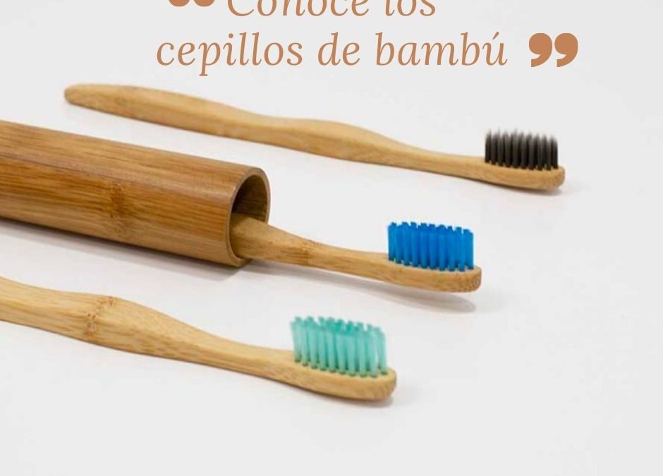 Conoce los cepillos de bambú