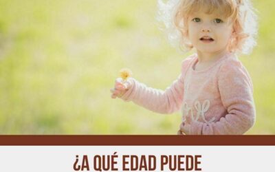 ¿A qué edad puede masticar tu bebe?
